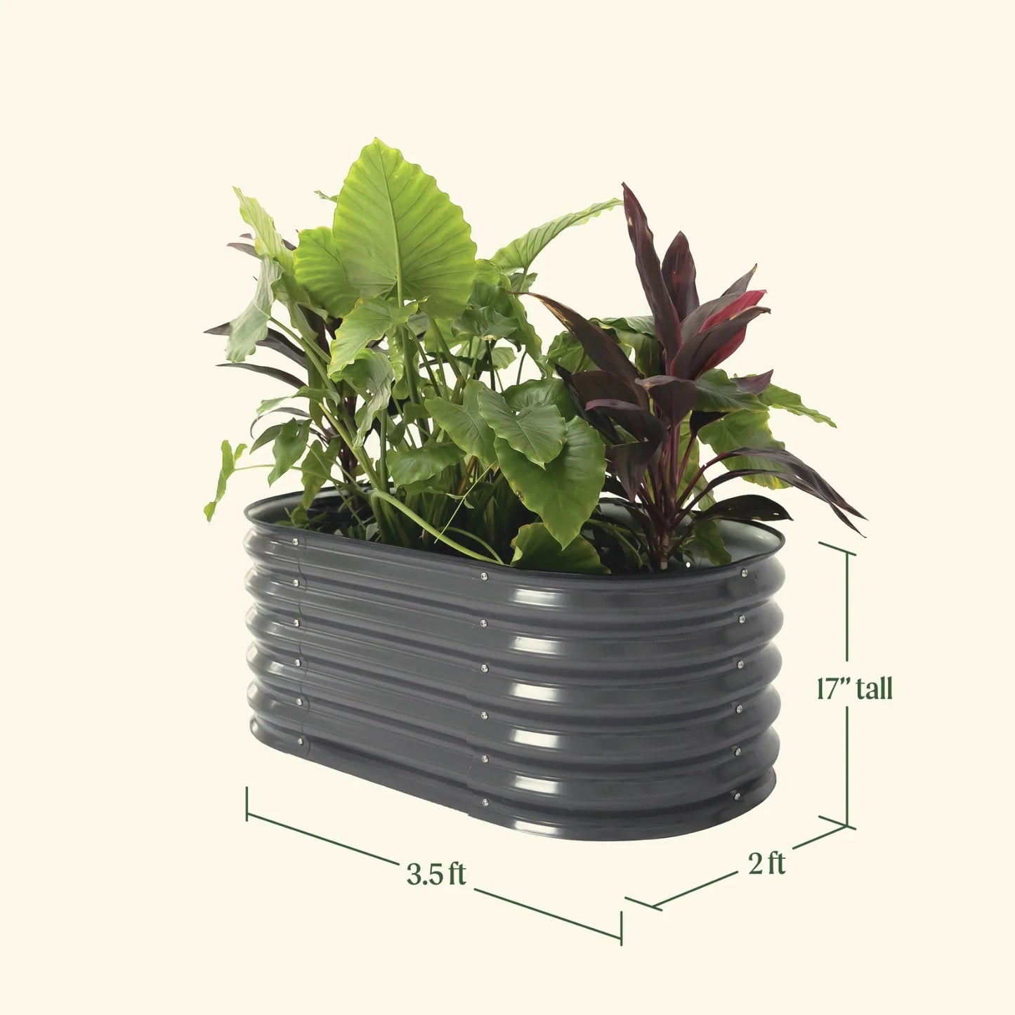 Gray 17 inch kids first raised garden bed dimensions: 3.5 feet long by 2 feet wide by 17 inches tall. 