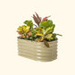 Pearl White kids raised garden bed with colorful flowers and plants on a white background.