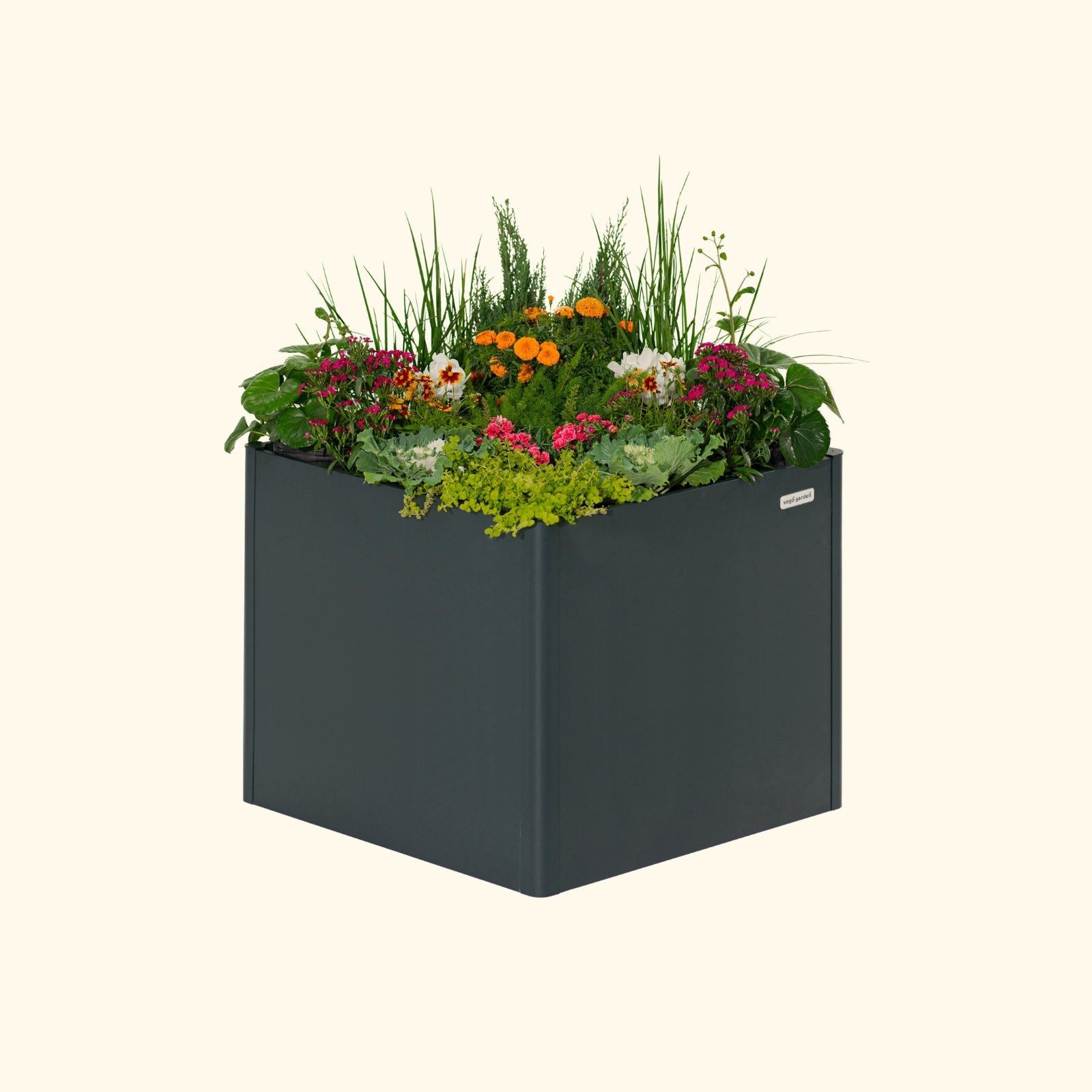 A midnight blue 32 inch extra tall  42 inch by 42 inch modern metal Garden Bed with colorful flowers and plants on a white background.