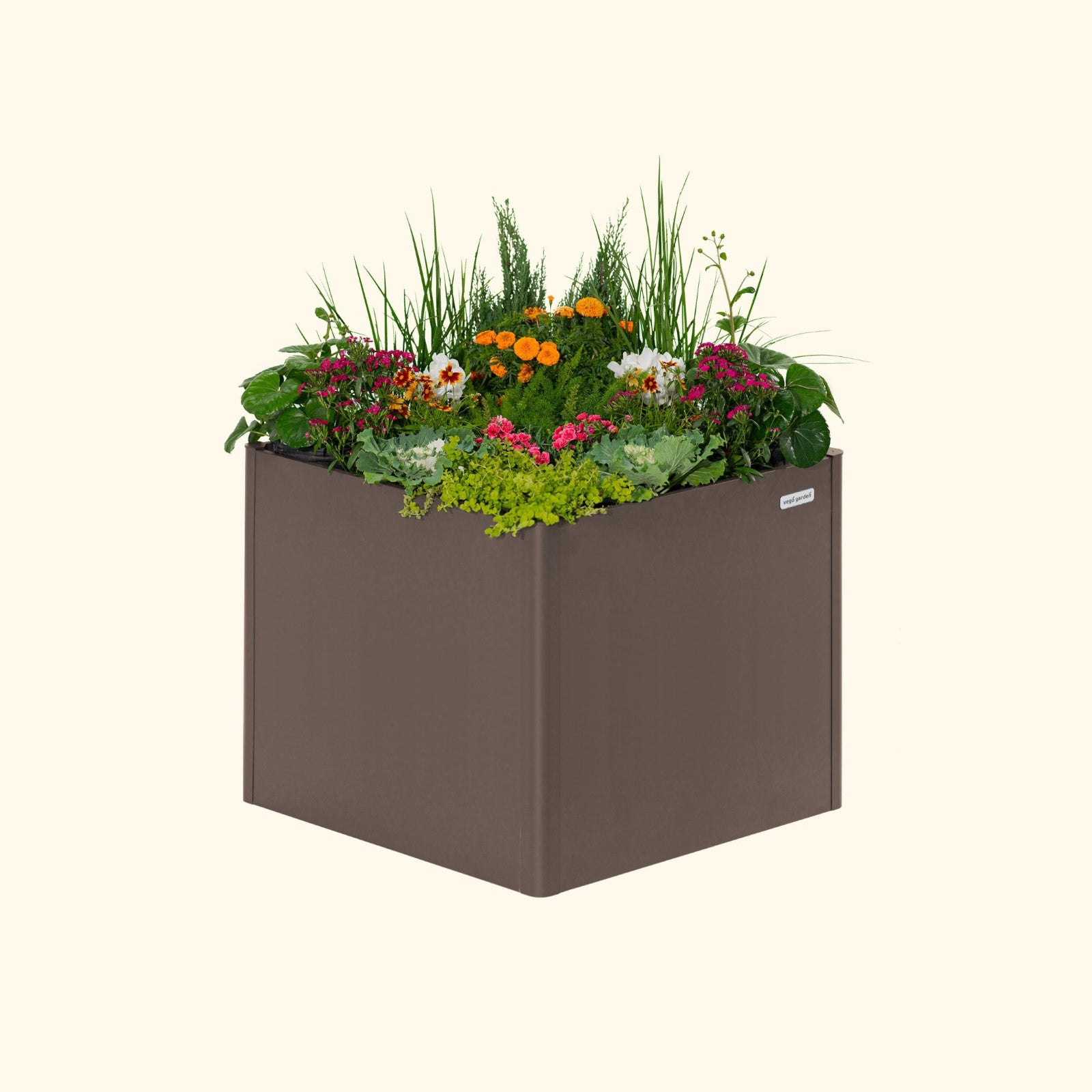 An umber brown 32 inch extra tall  42 inch by 42 inch modern metal Garden Bed with colorful flowers and plants on a white background.