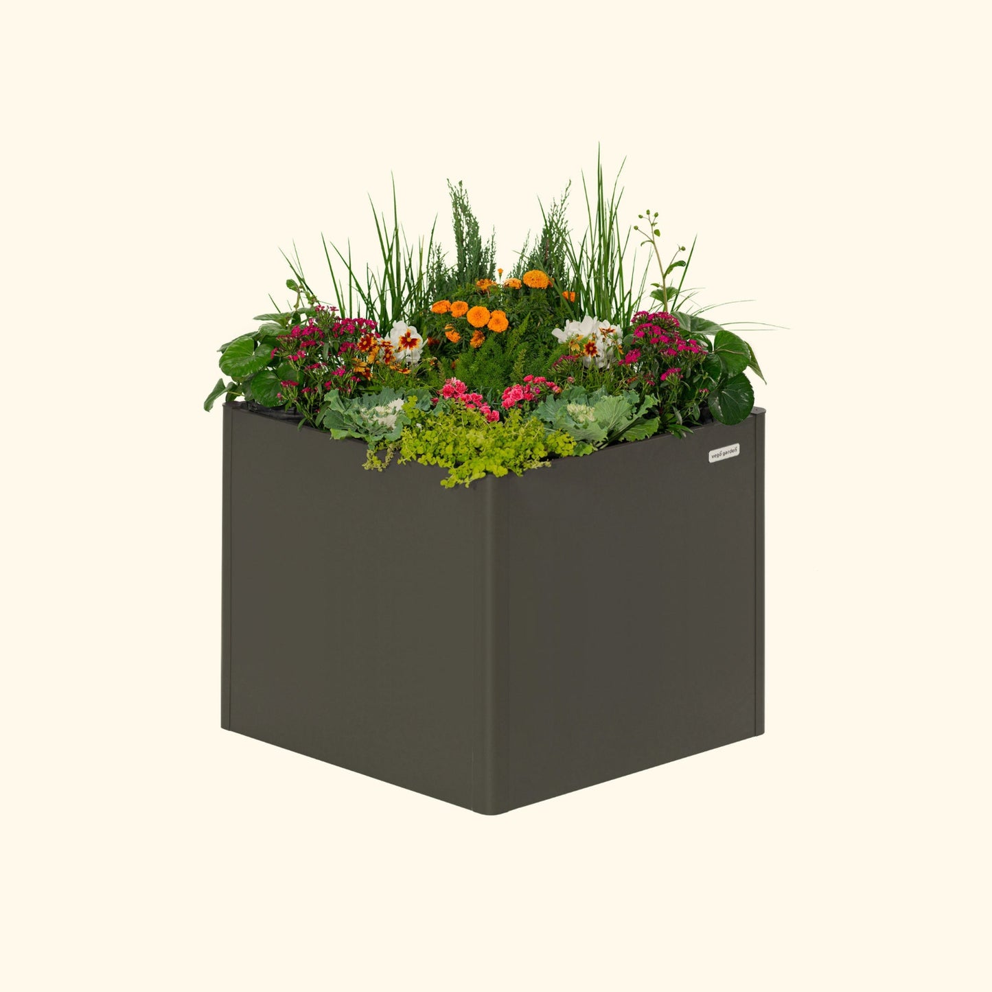 An urban charcoal 32 inch extra tall  42 inch by 42 inch modern metal Garden Bed with colorful flowers and plants on a white background.
