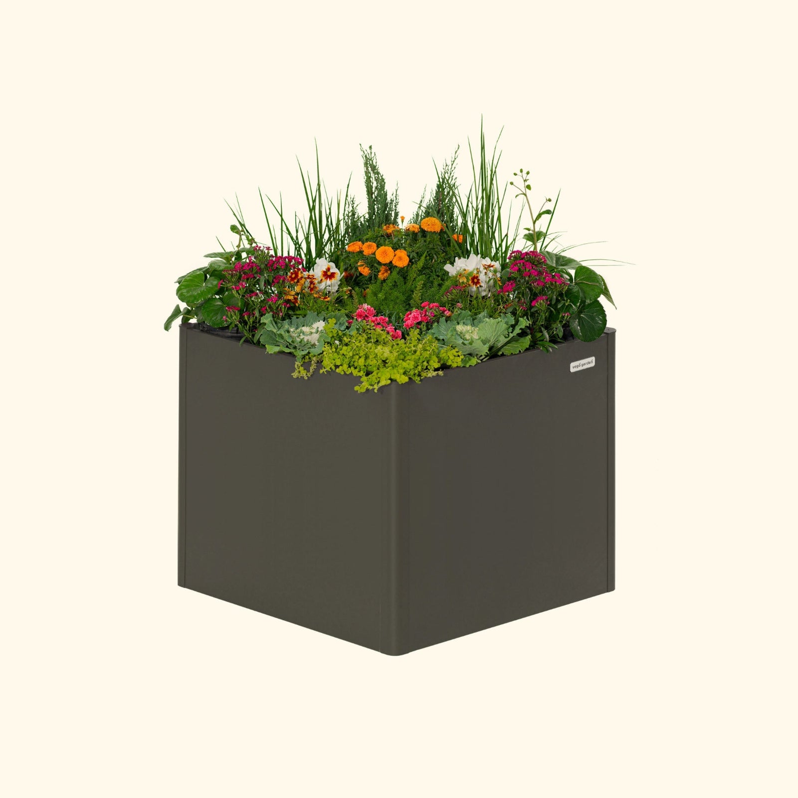An urban charcoal 32 inch extra tall  42 inch by 42 inch modern metal Garden Bed with colorful flowers and plants on a white background.