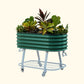British Green elevated metal garden bed with wheels and self watering system with plants on a white background