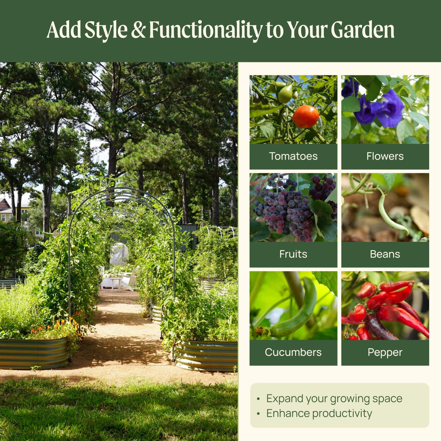 Garden with various plants and vegetables, promoting style and functionality to expand your growing space using the Arched Trellis System.