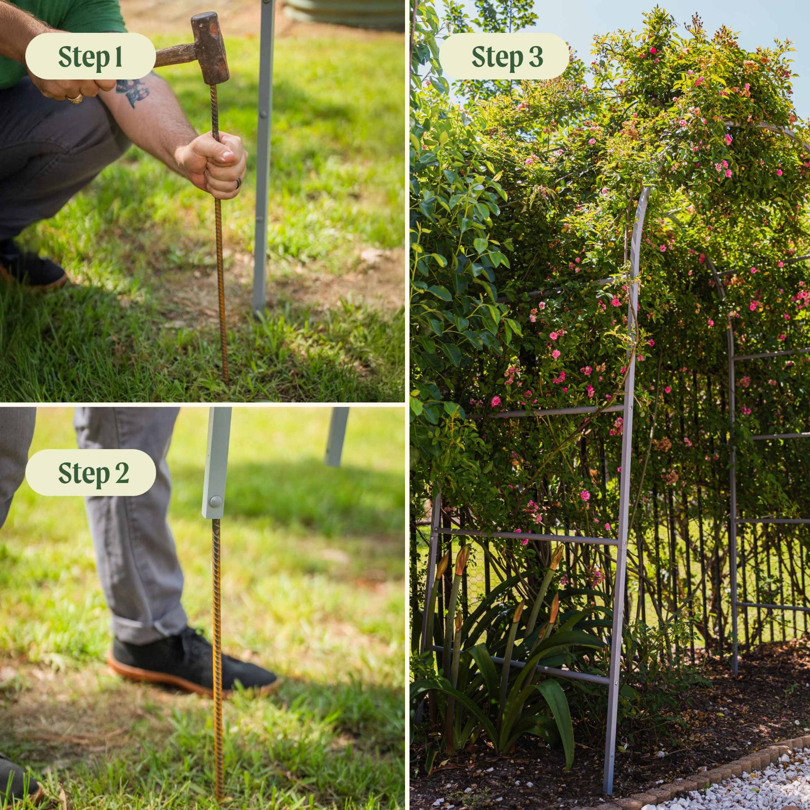Step-by-step guide showing how to install an arched garden trellis in the ground