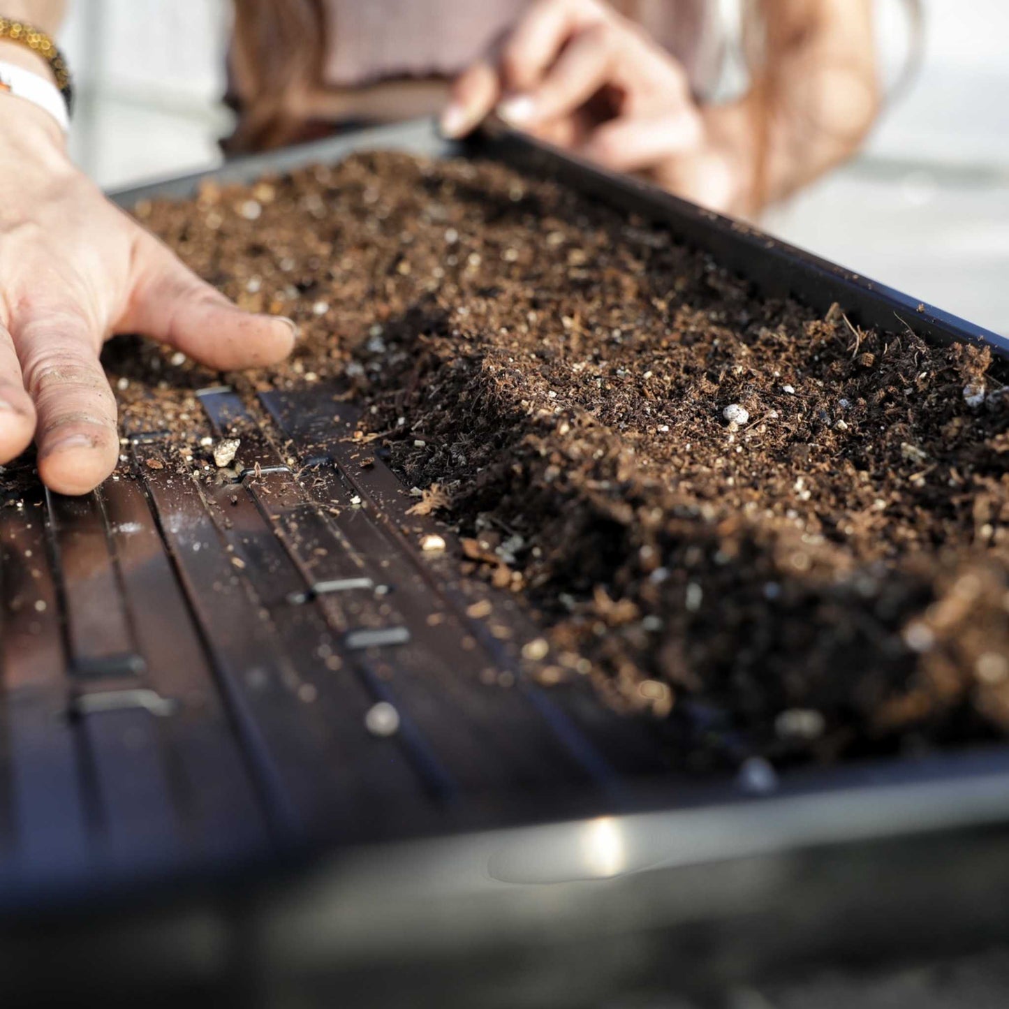 1020 Microgreen Trays | Heavy Duty Shallow 1020 Trays