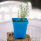 5" Nursery Pots with Insert Tray