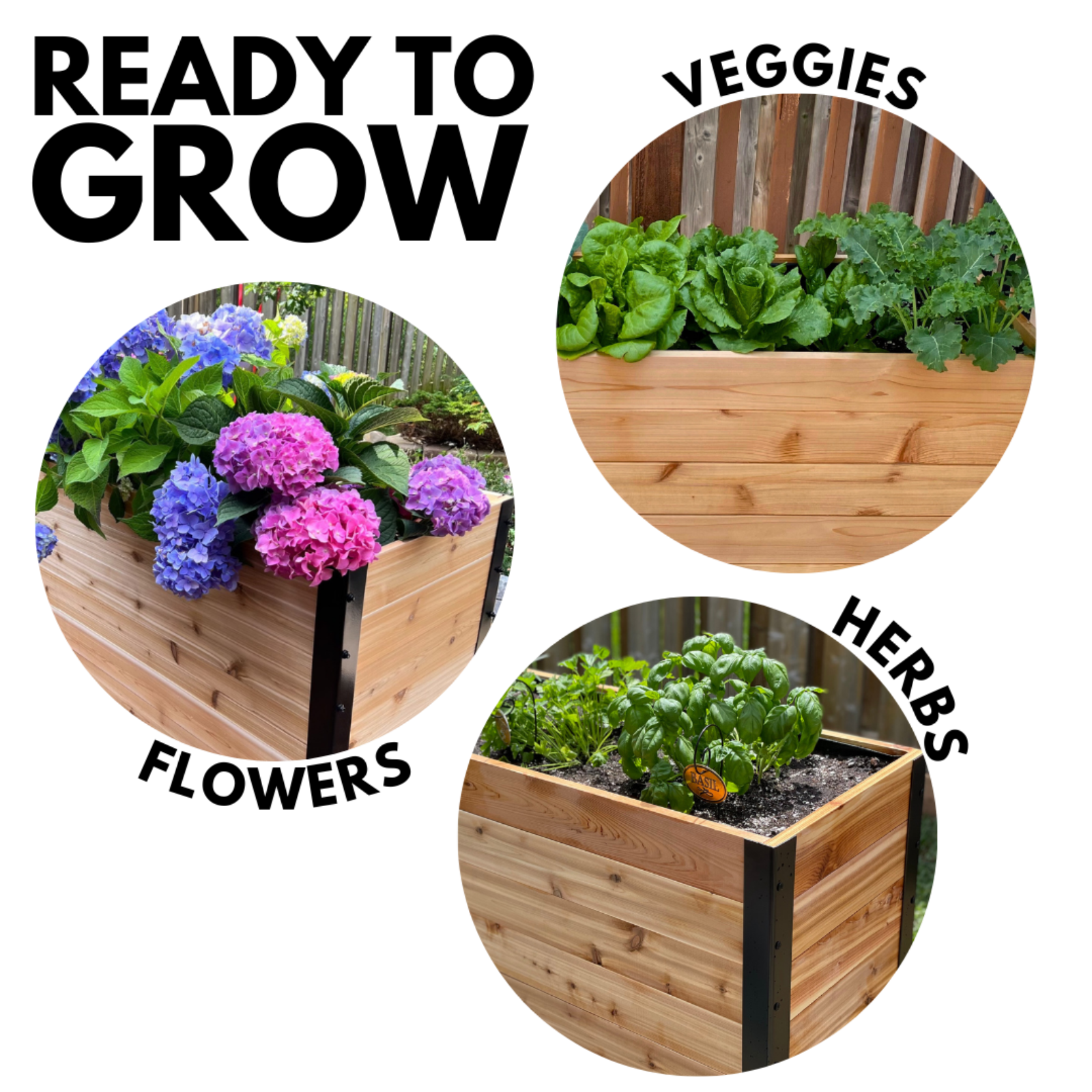 Cedar Planters 18x48 inch raised garden bed with text including ready to grow: three planters shown with vegetables, flowers, and herbs