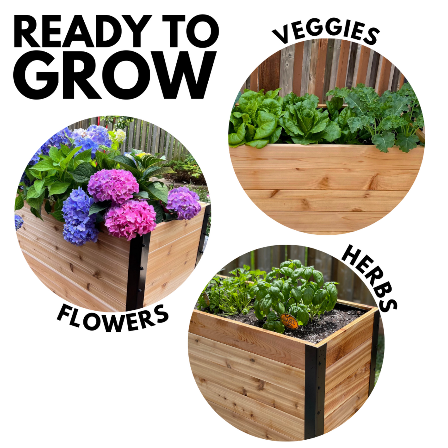 Cedar Planters 18x60 inch raised garden bed with text including ready to grow: three planters shown with vegetables, flowers, and herbs