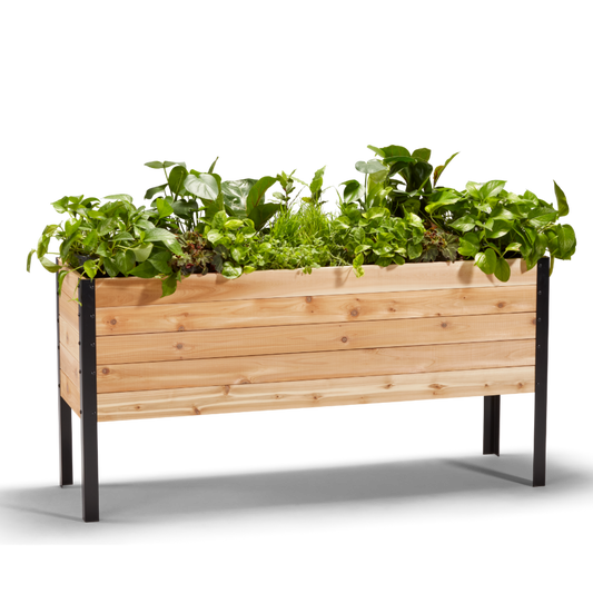 Cedar Planters 18x60 inch raised garden bed 30 inches tall filled with colorful plants on white background 