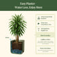 EZ Self-Watering Tomato Planter with a plant, showing how it keeps plants hydrated with minimal water and a description on how the planter works.

Capillary action causes the water to flow upwards from the reservoir. 

Water once, travel worry-free.