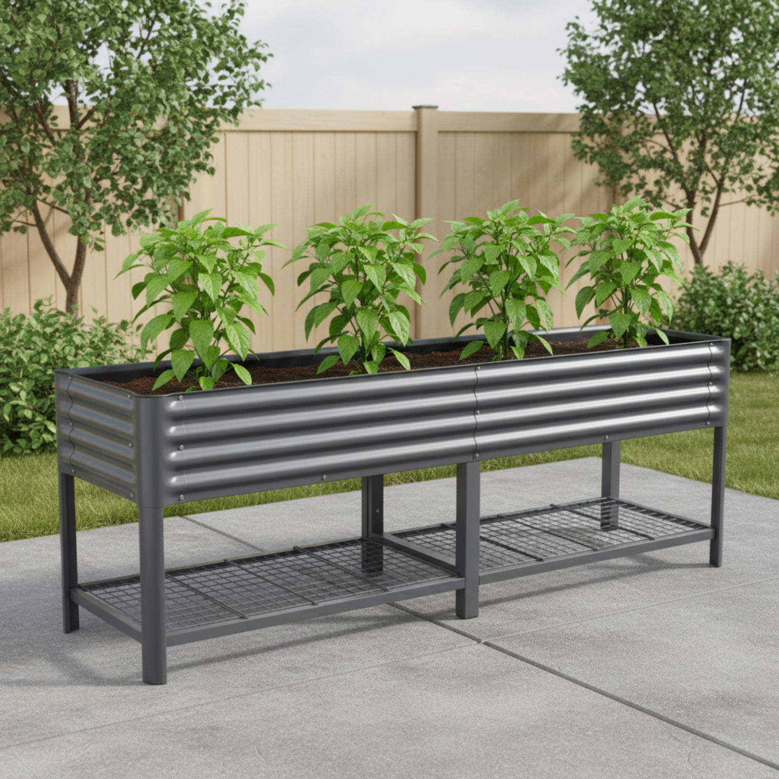 Modern gray elevated garden bed with four pepper plants on concrete patio