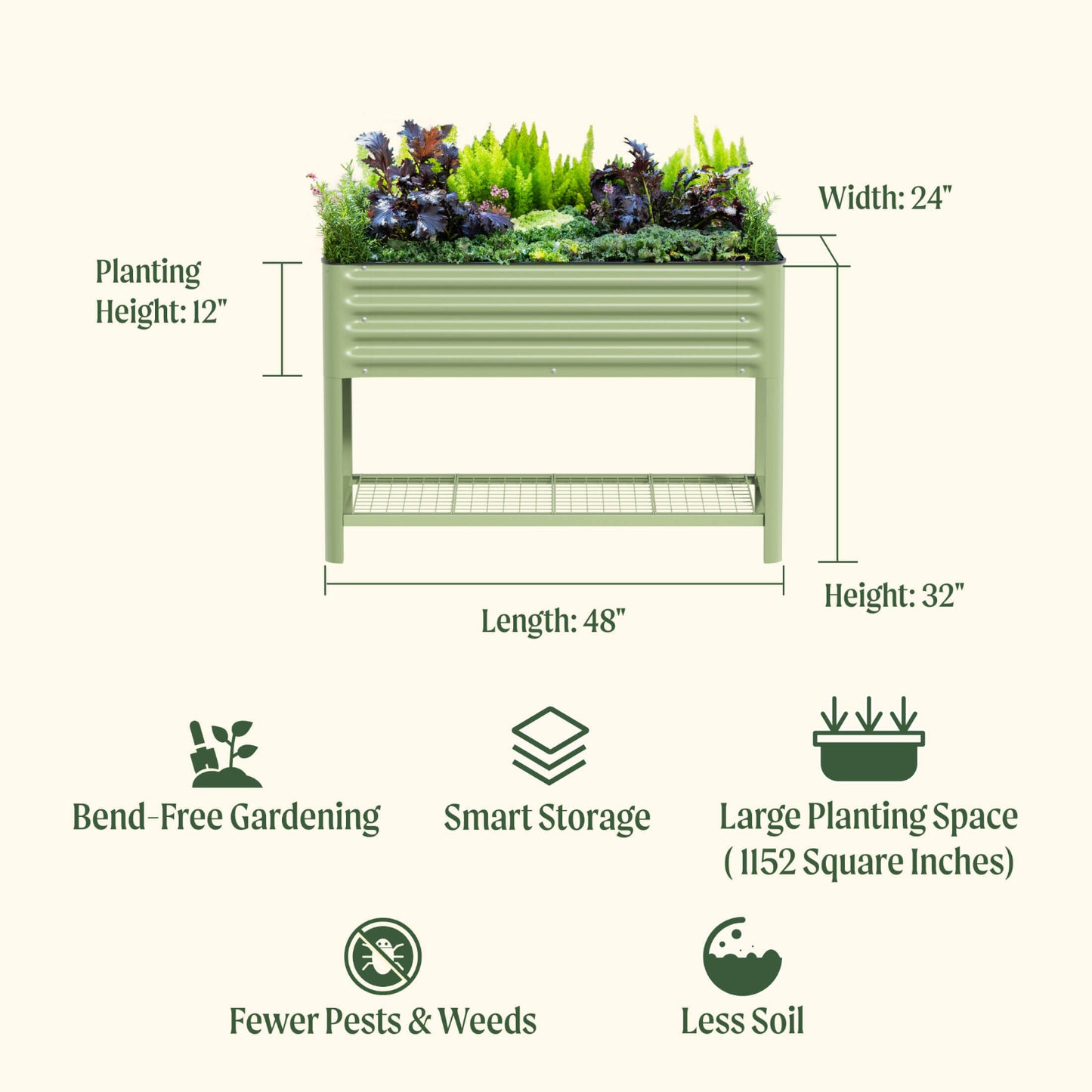 Green raised garden bed with dimensions and features listed on a white background. Features include: bend-free gardening, smart storage, large planting space (1152 square inches) fewer pests and weeds, and less soil.

Dimensions: 48 inches long by 24 inches wide and total height of 32 inches and a planting height of 12 inches. 