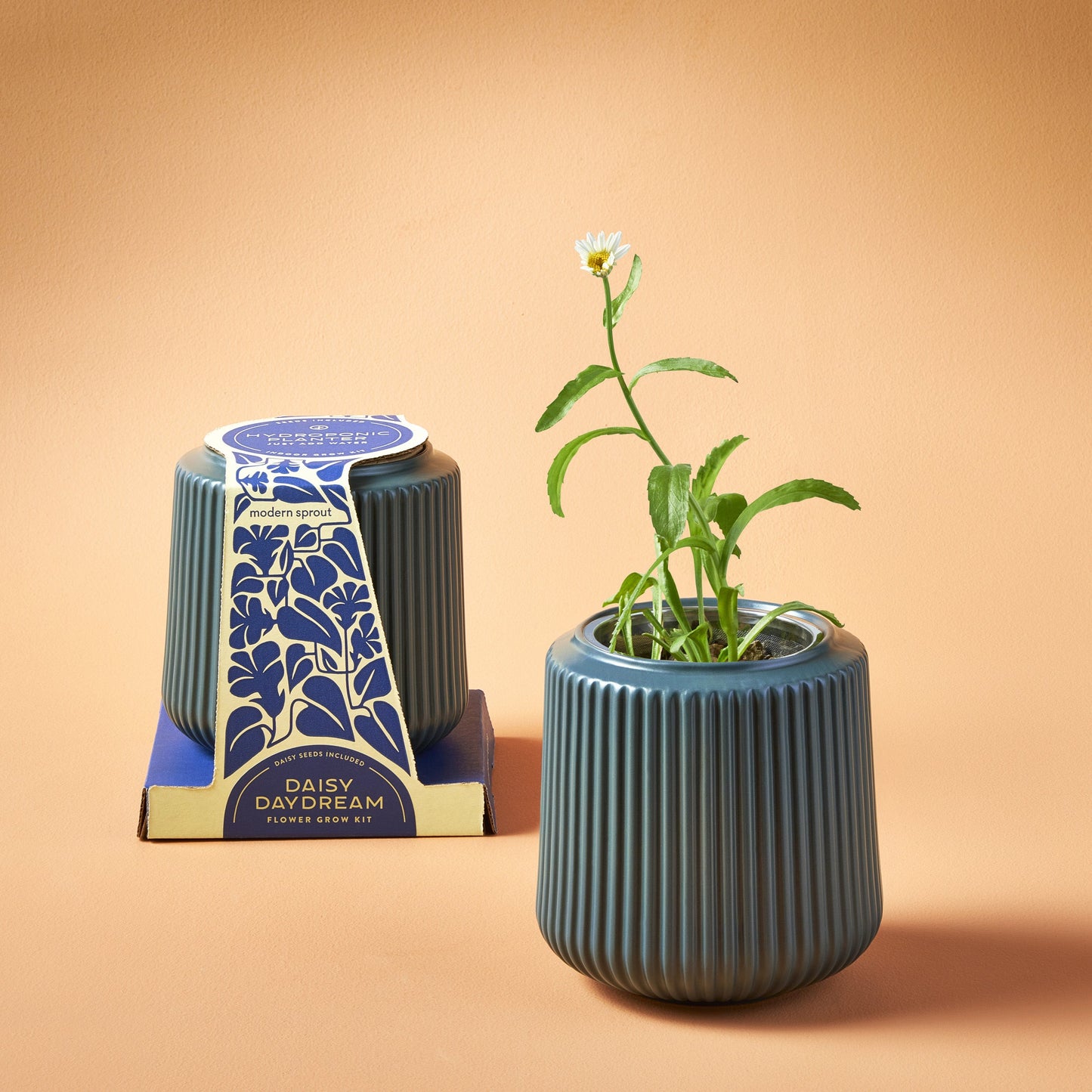 Kits de cultivo de flores