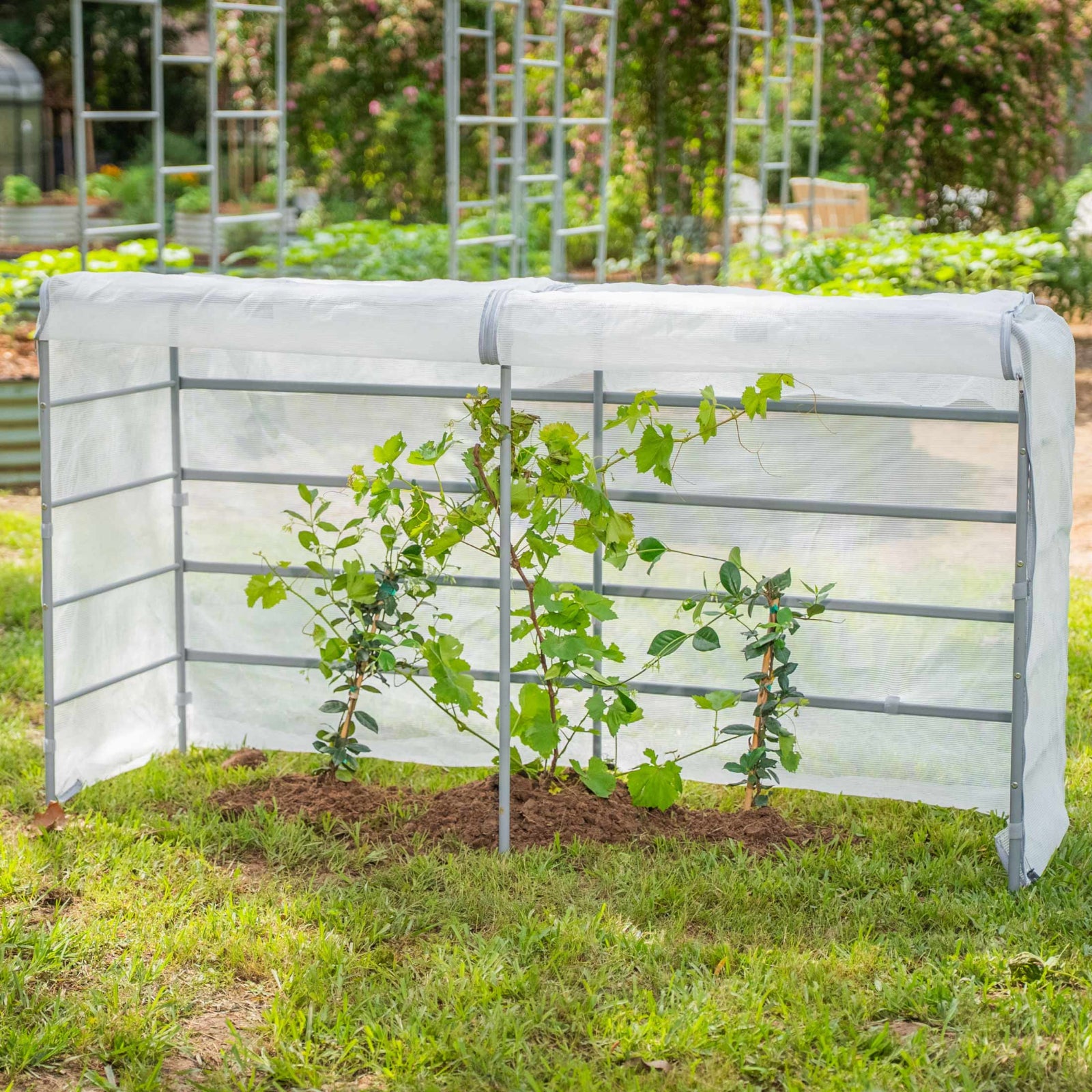 Mesh cover system installed into the ground covering a plant. 
