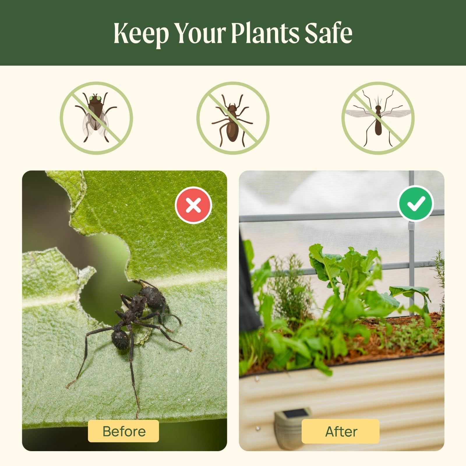 Mesh cover system for elevated garden beds showing protection from flies, ants, and mosquitoes, with a before-and-after comparison of exposed plants versus healthy plants inside the mesh