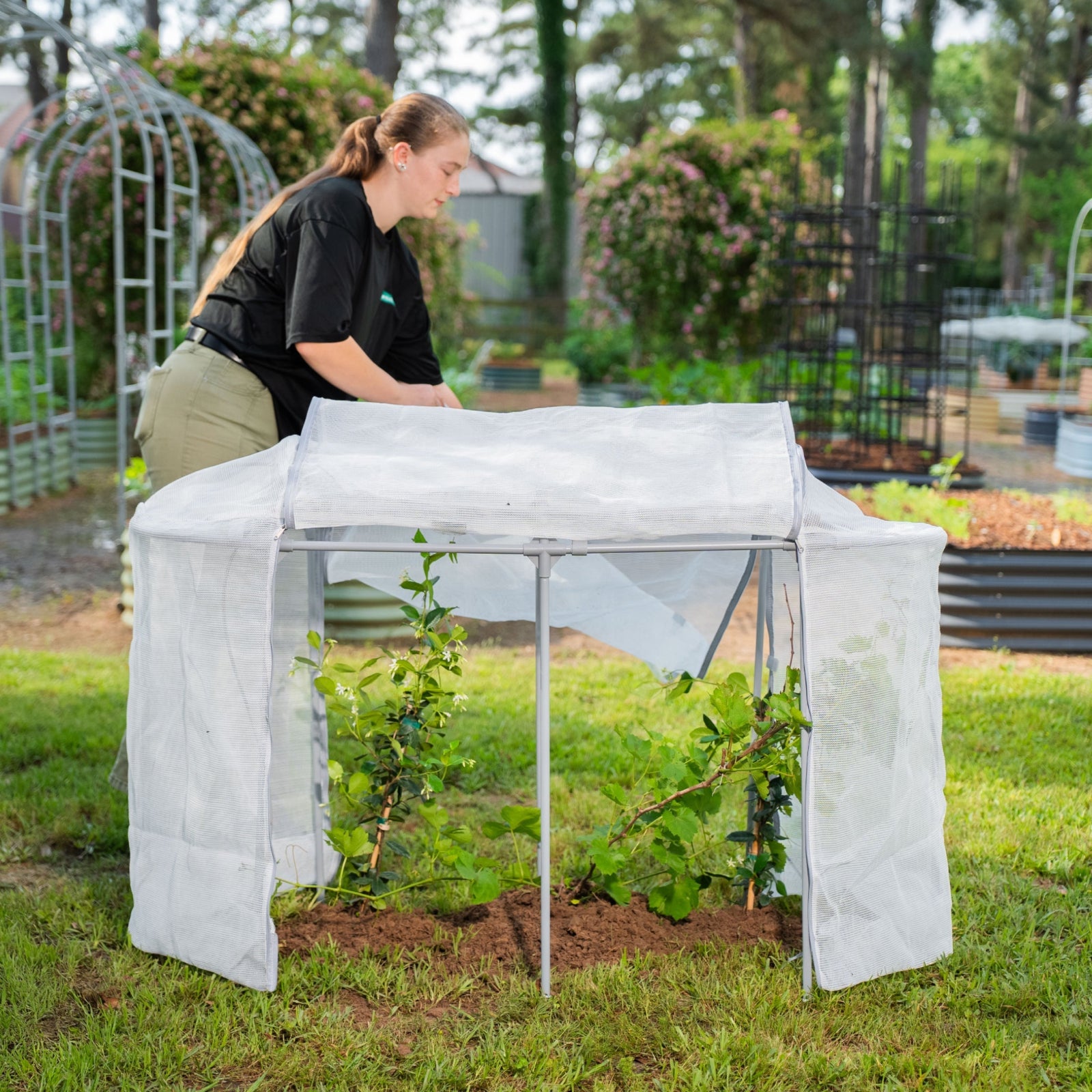 A person opening a mesh cover system installed directly into the ground covering two plants.