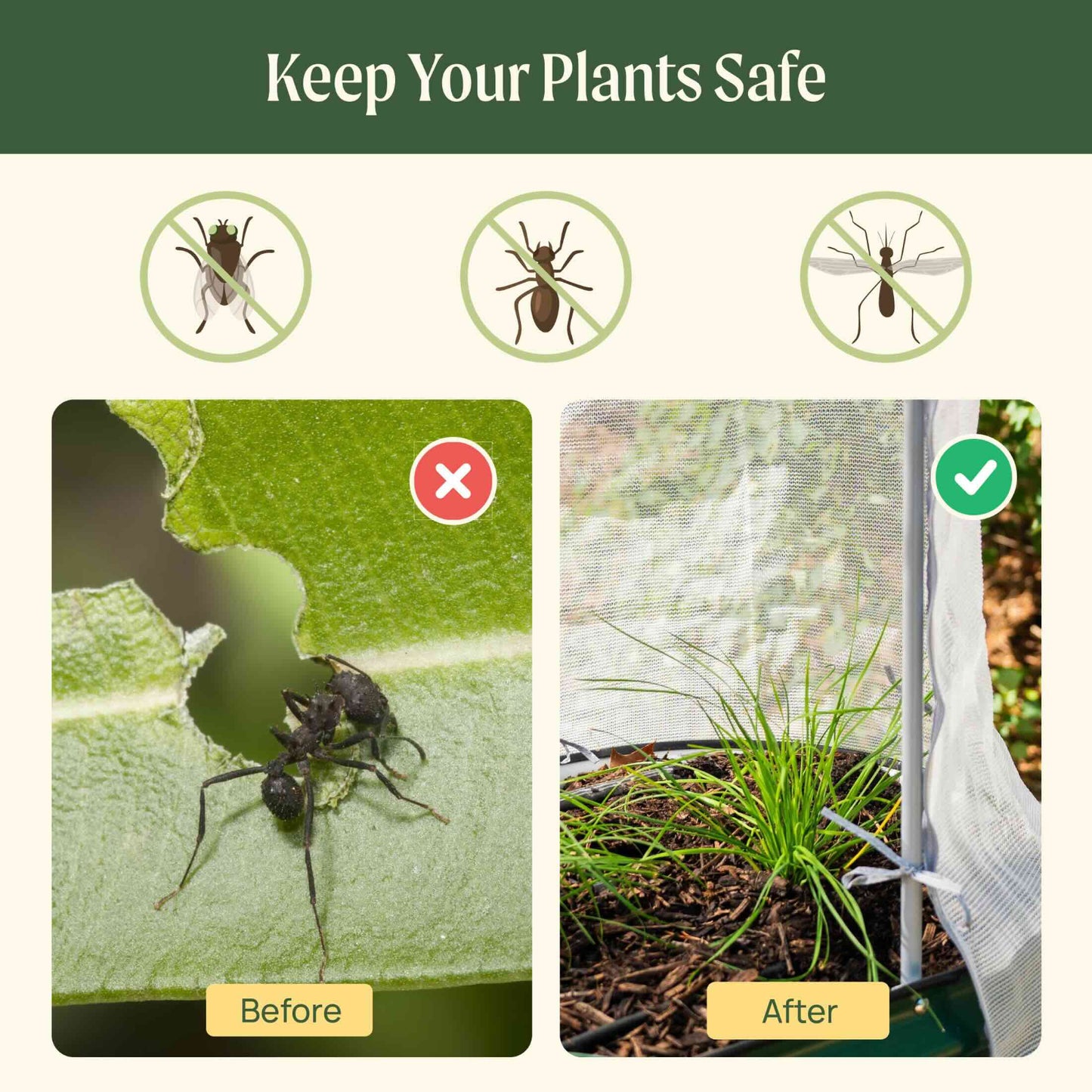 Before and after comparison of ants on a plant leaf compared to a safe plant under the mesh cover system. 

Image identifies flies, ants, and mosquitos as bugs blocked by the mesh cover.
