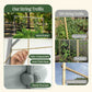 Comparison showing the metal frame string trellis with compostable 4 mm rope and a DIY wood-frame trellis using PVC rope