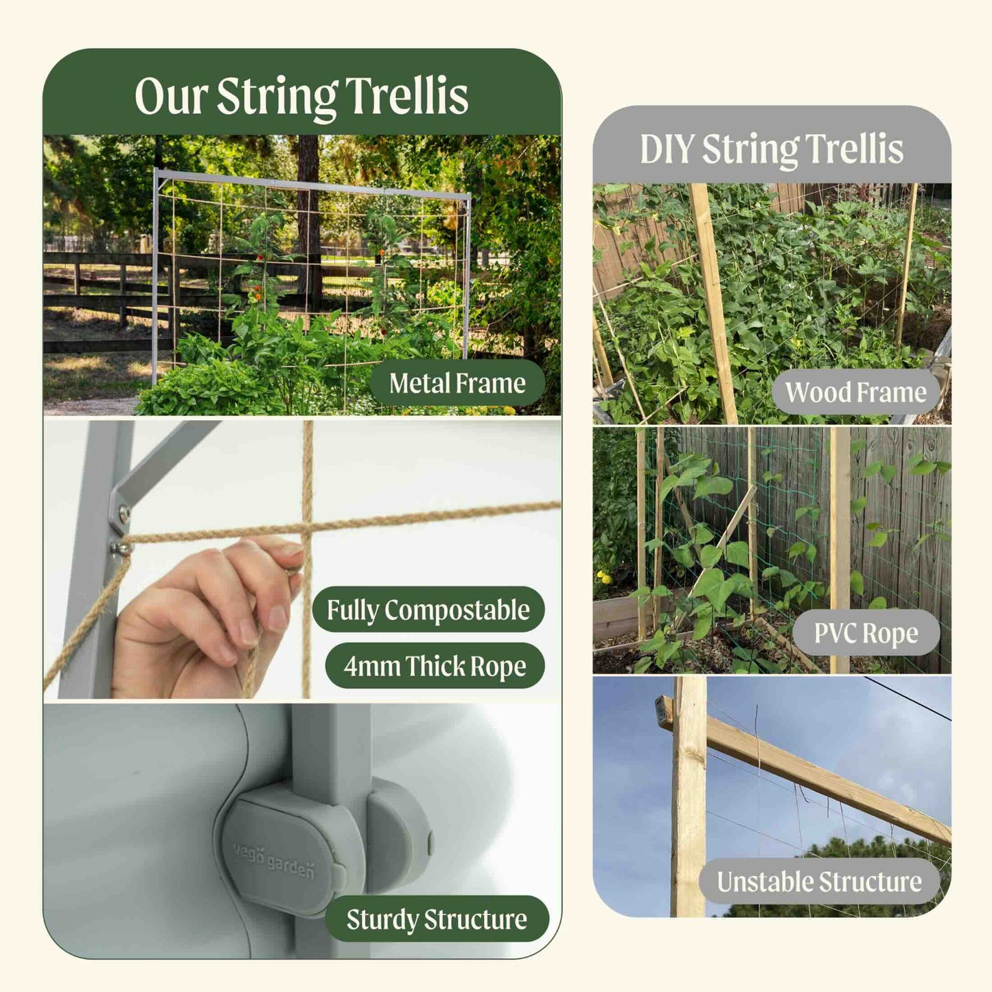 Comparison showing the metal frame string trellis with compostable 4 mm rope and a DIY wood-frame trellis using PVC rope