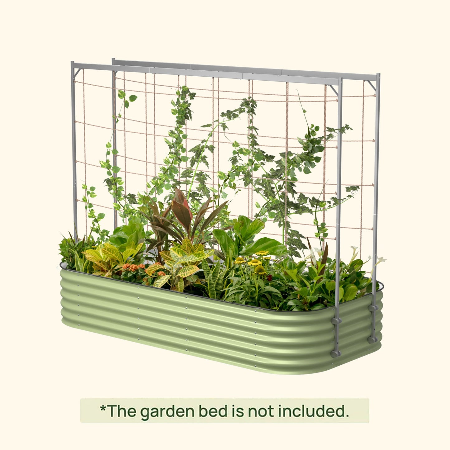 Green metal raised garden bed with plants and the metal frame string trellis on a white background with text clearly outlining the garden bed is not included.
