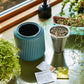 Kits de cultivo de flores