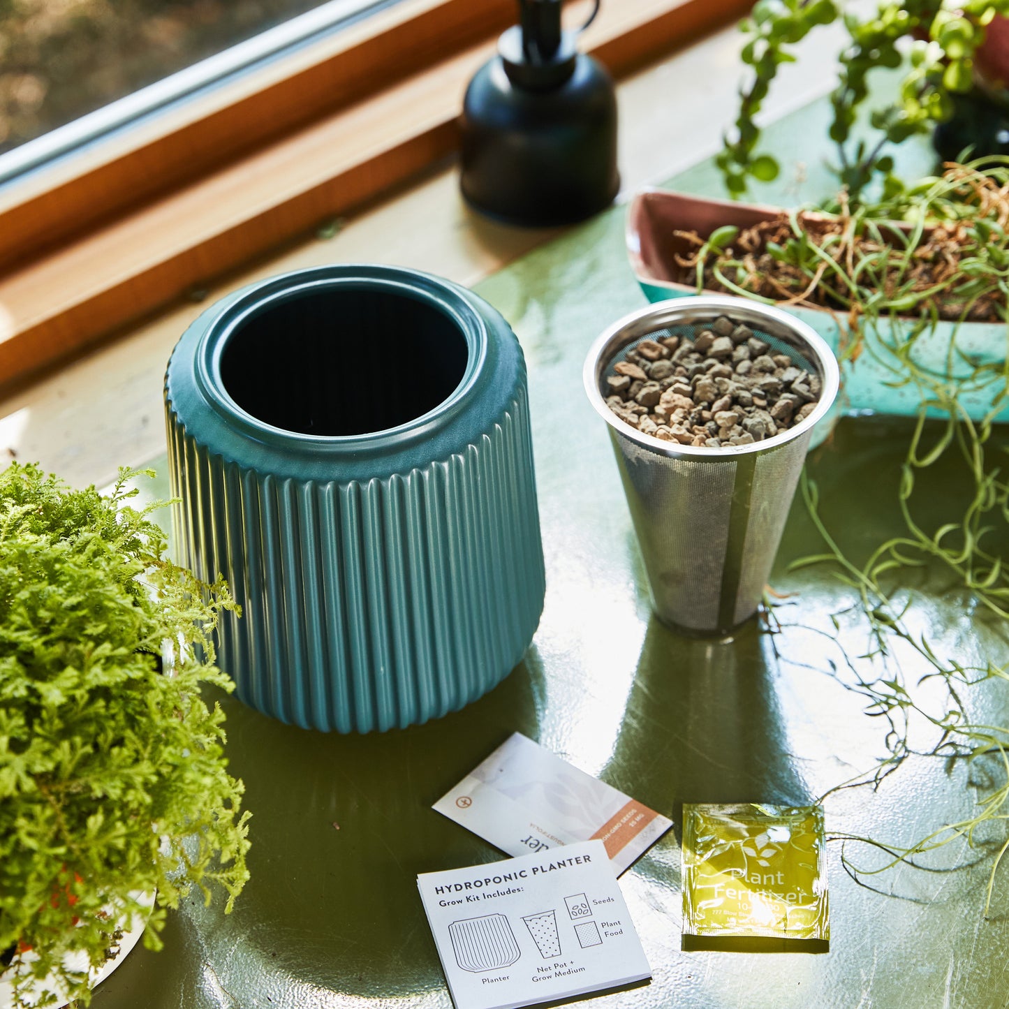 Kits de cultivo de flores