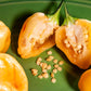 Peachadew Pepper Seeds