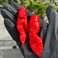 Pepper Joe's Death Spiral Pepper Pods, two mature peppers shown to represent seeds for sale, in black gloved hand. 