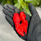 Pepper Joe's Death Spiral Pepper Pods, two mature peppers shown to represent seeds for sale, in black gloved hand. 