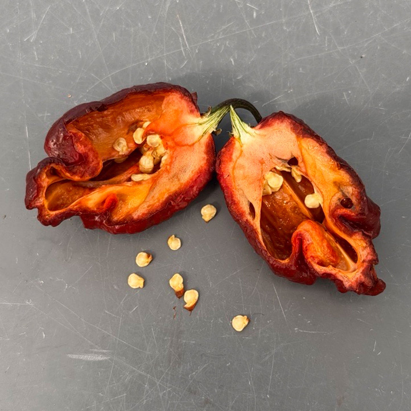 Pepper Joe's Purple Reaper pepper. Mature pepper shown to represent seeds for sale, cut open to display seeds inside on gray table