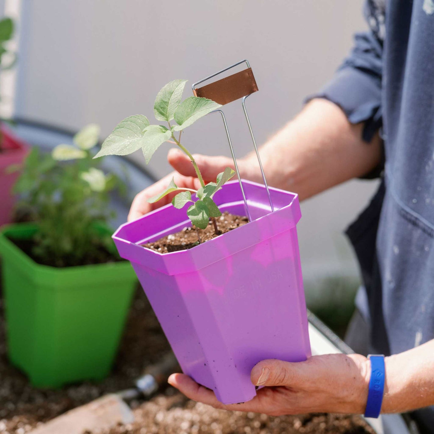 5" Heavy Duty Nursery Pots