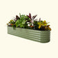 A olive green self-watering Garden Bed with colorful flowers and plants on a white background.
