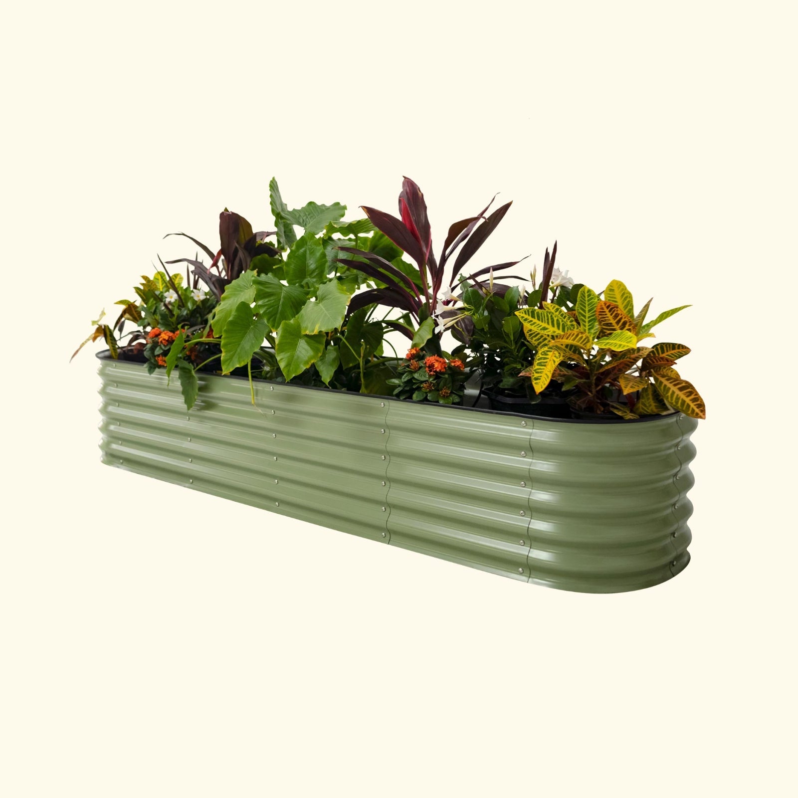 A olive green self-watering Garden Bed with colorful flowers and plants on a white background.