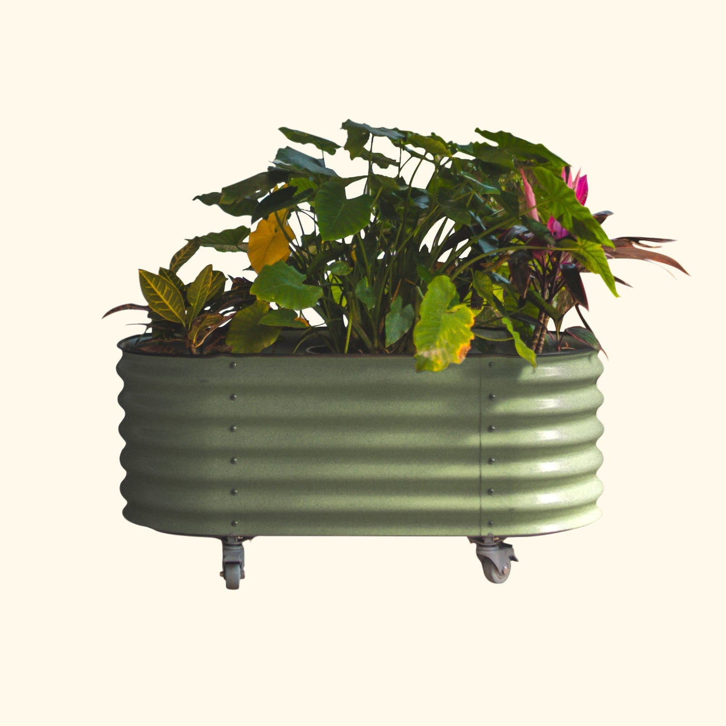 Self-Watering Rolling Garden Bed – 2′ × 4′