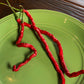 Thunder Mountain Longhorn Pepper Seeds