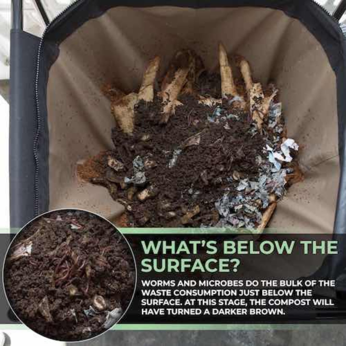 Compost material with worms and microbes in a bin, showing a close-up of the compost and text including: what's below the surface? Worms and microbes do the bulk of the water consumption just below the surface. At this sate, the compost will have turned a darker brown. 