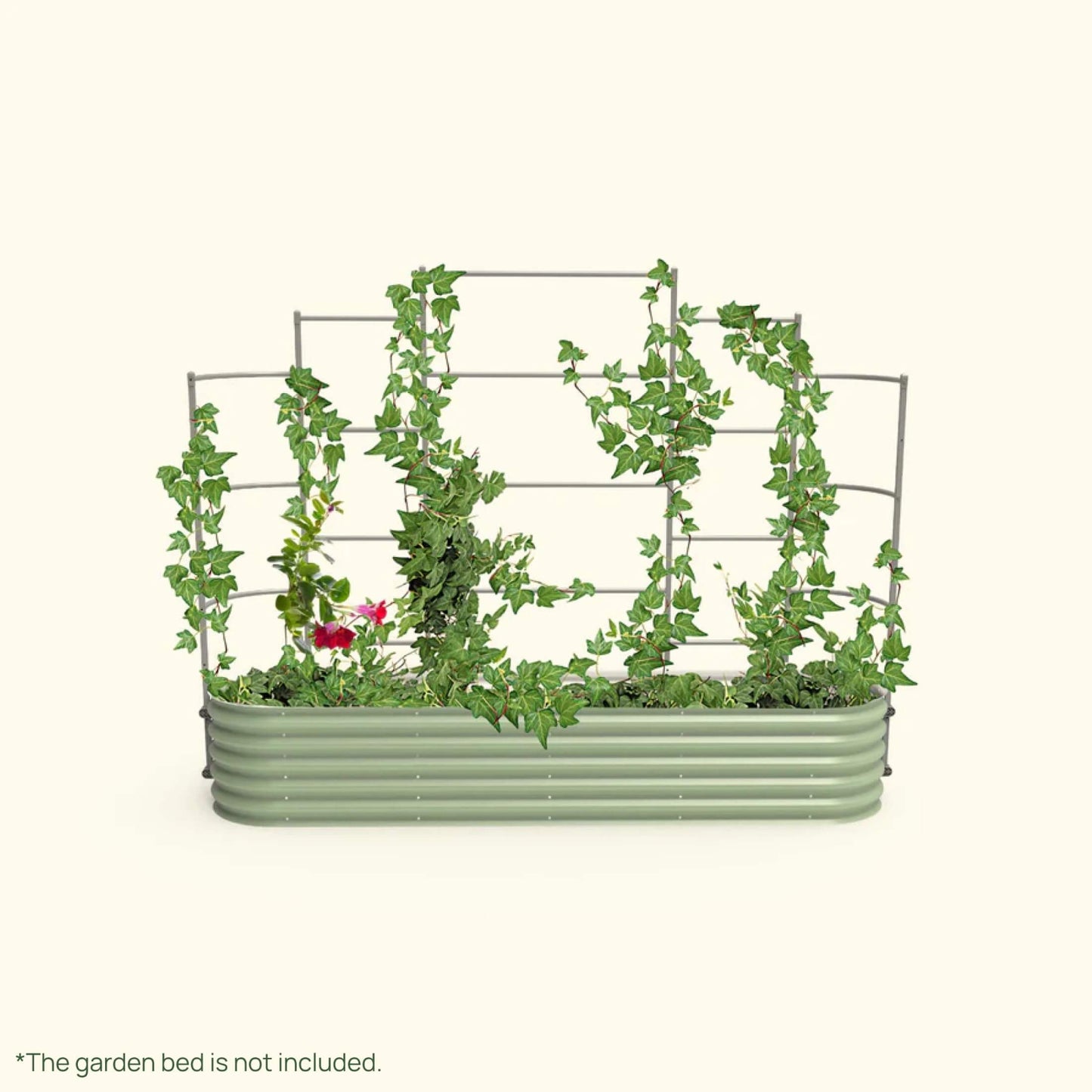 Wall Trellis system VWT2080 for raised garden beds installed in a raised garden on a white background.