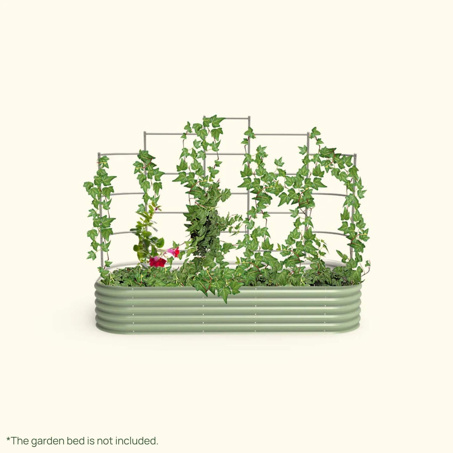 Wall Trellis system VWT4080 for raised garden beds installed in a raised garden on a white background.