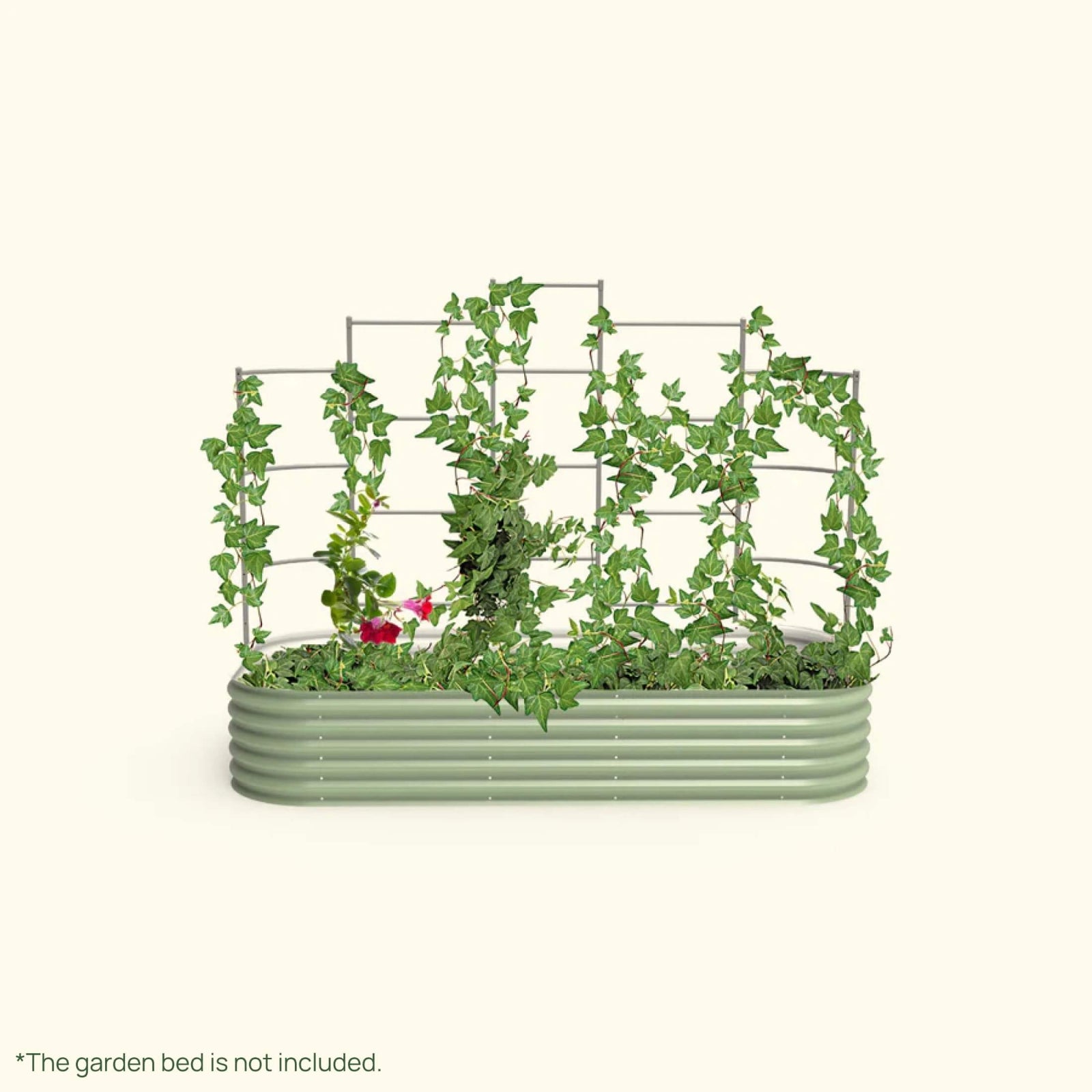 Wall Trellis system VWT4080 for raised garden beds installed in a raised garden on a white background.