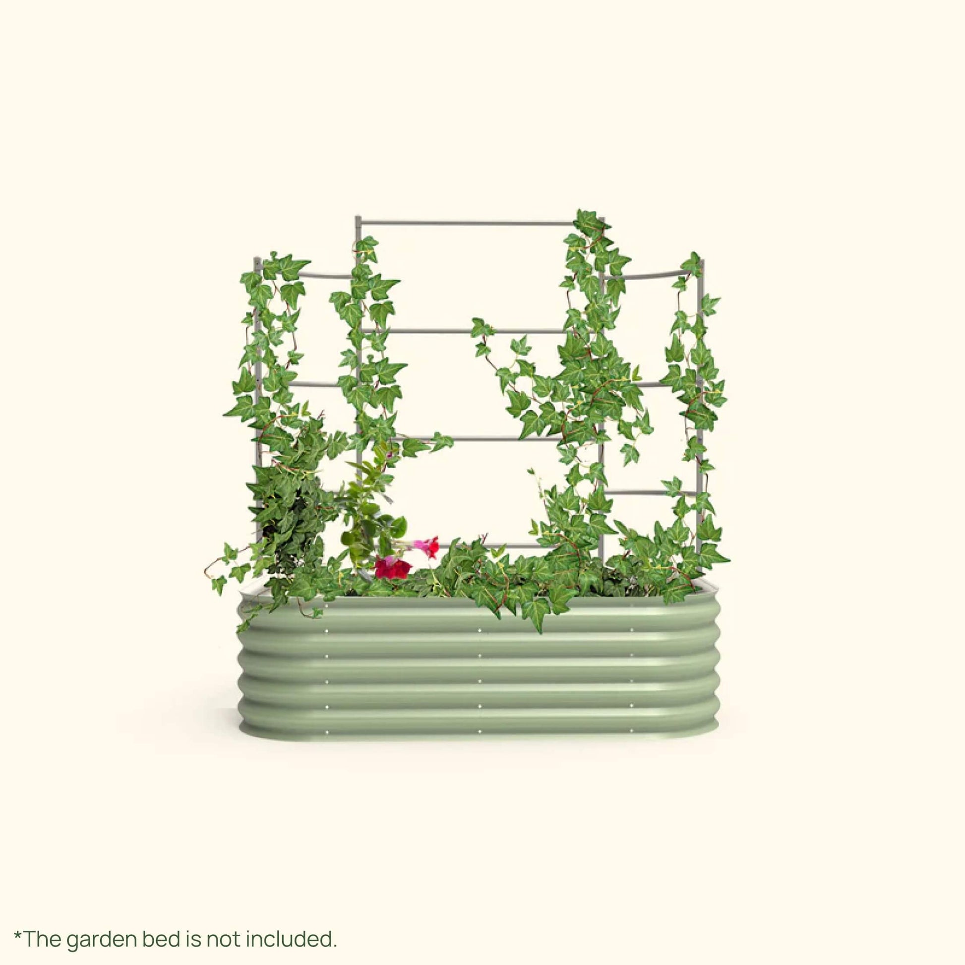 Wall Trellis system VWT50 for raised garden beds installed in a raised garden on a white background.