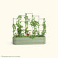 Wall Trellis system VWT65 for raised garden beds installed in a raised garden on a white background.