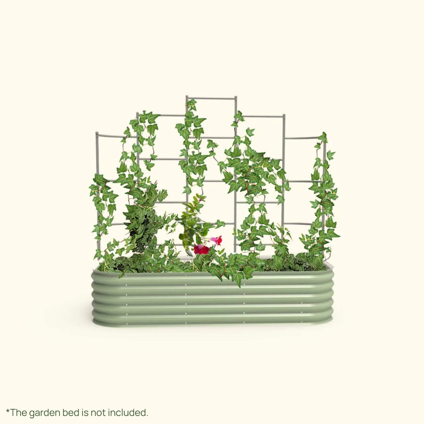 Wall Trellis system VWT65 for raised garden beds installed in a raised garden on a white background.