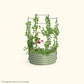 Wall Trellis system VWTRB35 for raised garden beds installed in a raised garden on a white background.
