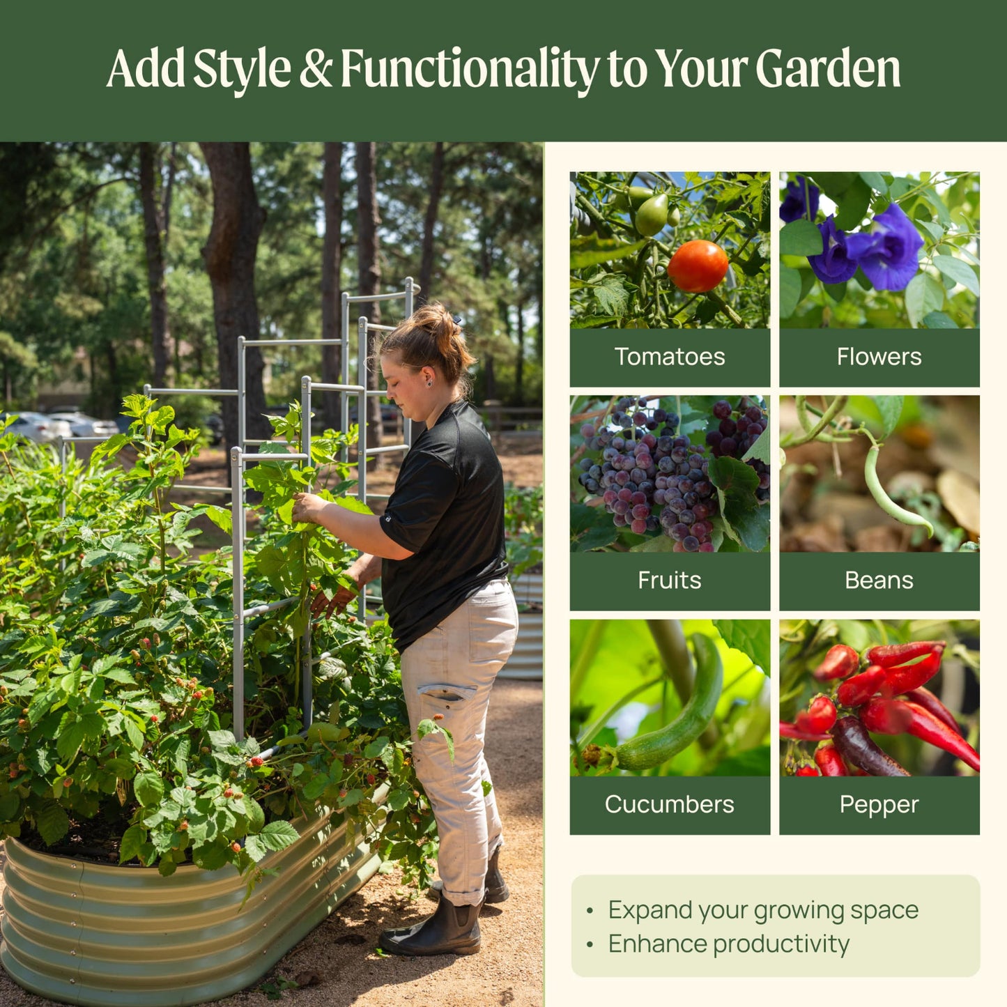 Wall trellis system for raised garden beds add style and functionality to your garden, expand growing space, and enhance productivity. 