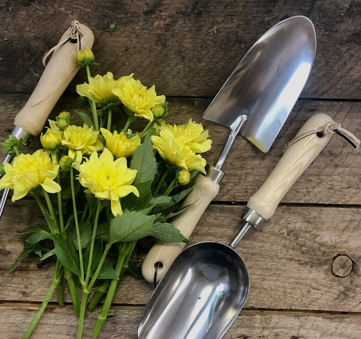 Juego de herramientas manuales para jardín: madera dura y acero inoxidable