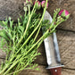 Nuestra herramienta de jardín Katana Hori Hori 