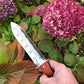 Nuestra herramienta de jardín Katana Hori Hori 