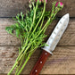 Nuestra herramienta de jardín Katana Hori Hori 