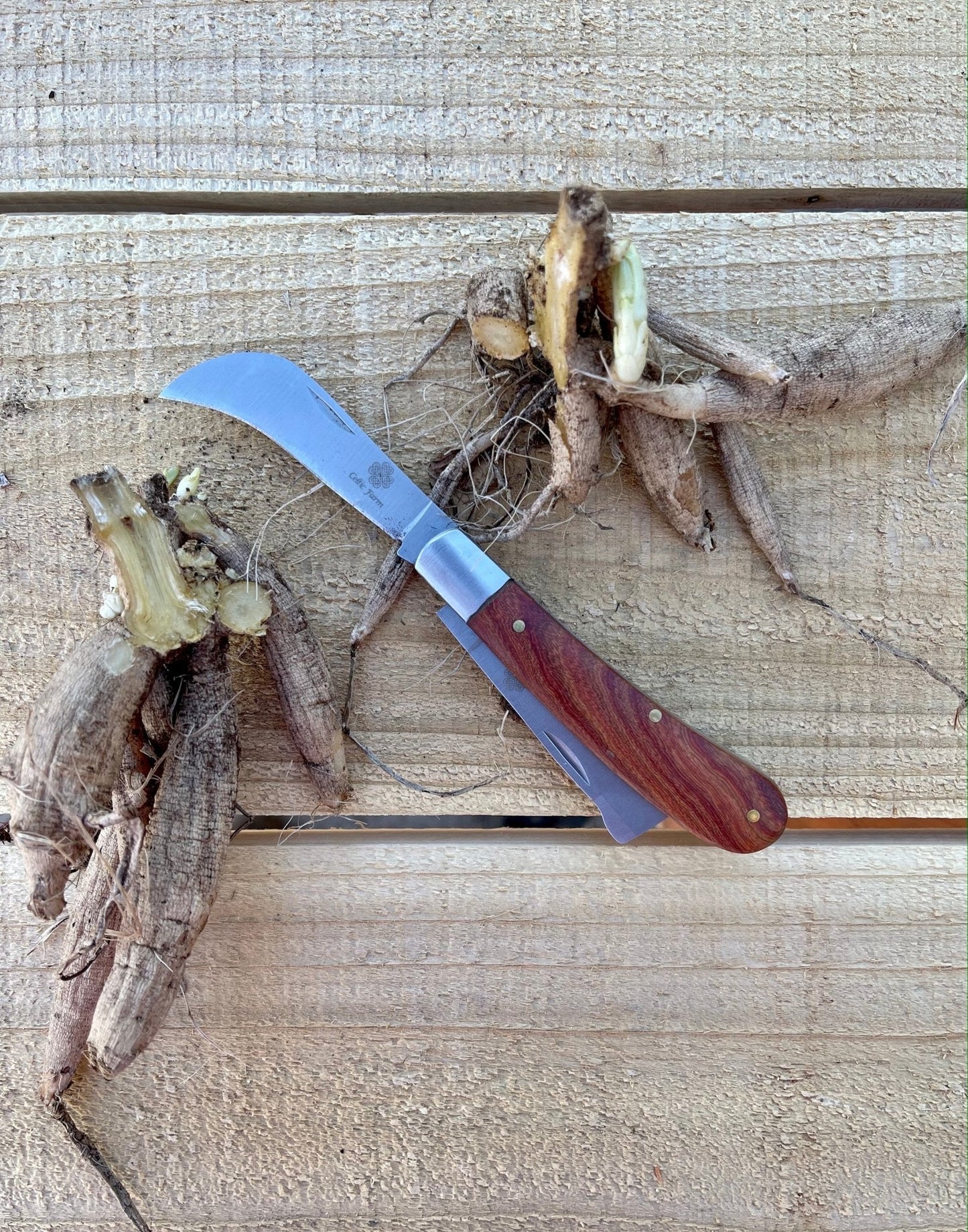 Cuchillo de jardinero profesional: para poda, injerto y propagación